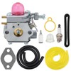 Hipa WT-973 Carburetor for Murray M2500 M2510 Remington RM2510 RM2560