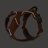 DOG Copenhagen Comfort Walk Pro 3.0 Harness, Black, M