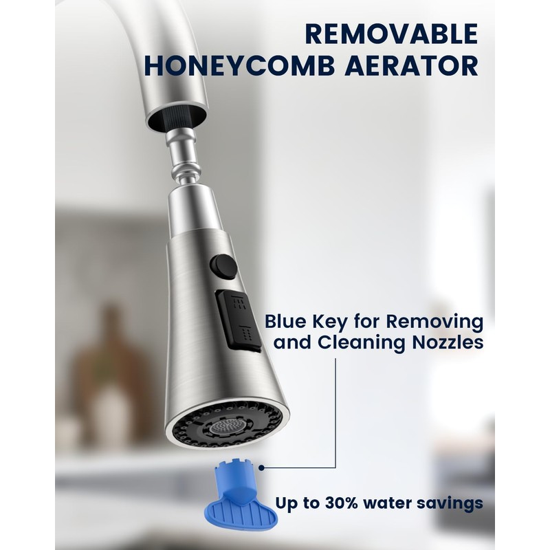 DAYONE 2 Handle Kitchen Faucet with Soap Dispenser, Two-Handle Kitchen