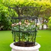 Goooxim Large Obelisk Trellis Peony Cage 24.6x17 Inches - Premium