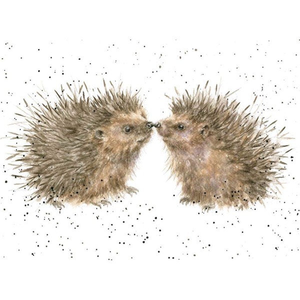 Wrendale Designs Greeting Card - HOGS AND KISSES (Hedgehogs)
