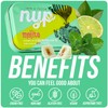 NYP Sugar Free Mojito Lime Chewing Gum, Aspartame Free Mojito