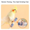 Fanlahmtasy Suction Cup Bird Perch - Natural Quartz Sand Trimming