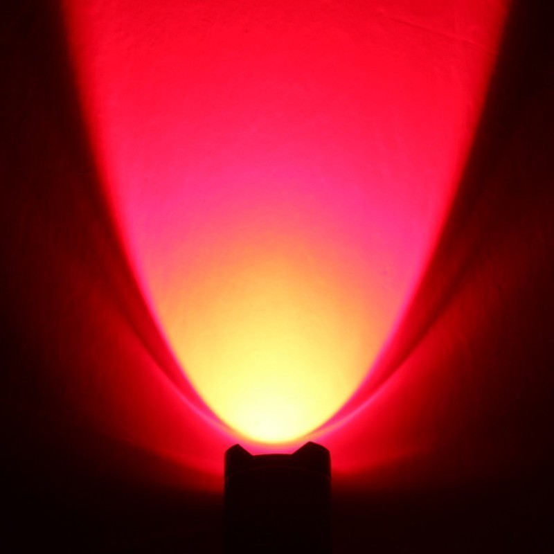 WAYLLSHINE 2-Pack LED Flashlight, 3 Modes Red Light Torch for