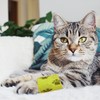 NAUZE 4 Rolls Pet Vet Wrap Pet Vet Bandage Self