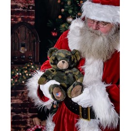 My Baby's Heartbeat Bear Recordable Stuffed Animal for Ultrasounds and Sweet Messages Playback, Gender Reveal, Patriot Bear