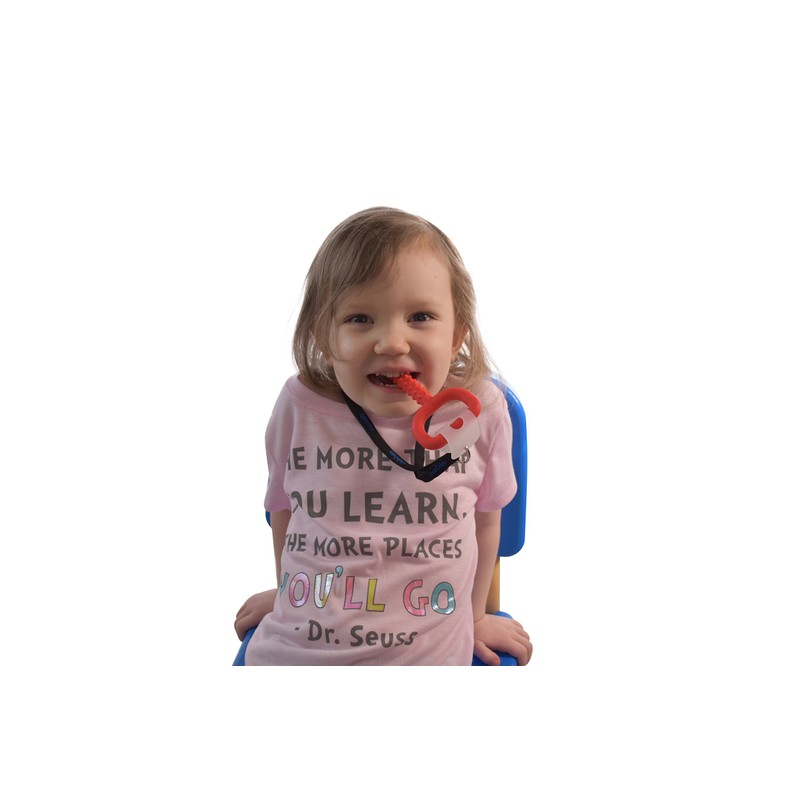 ChuBuddy Chew Holder 4 Pack: Two (Navy) Clip-Ons & Two