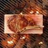 Pink Salt Wall 2 Salt Cooking Block Chef's Choice 12x8x2