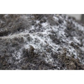 Compost Tea Recipe...The Secret to Success, Ready to Brew: LiFeCuBe Compost Tea: 8lbs (Approx. 32 Cups)