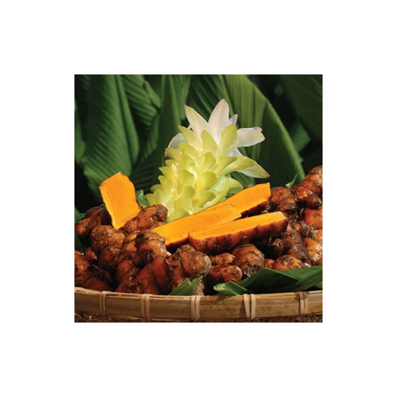 Jindo Turmeric Brown Rice Turmeric Tea 100 Tea Bags /