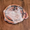 STIHL NEW Genuine STIHL Starter Rewind Spring BG86 BG56 HS46
