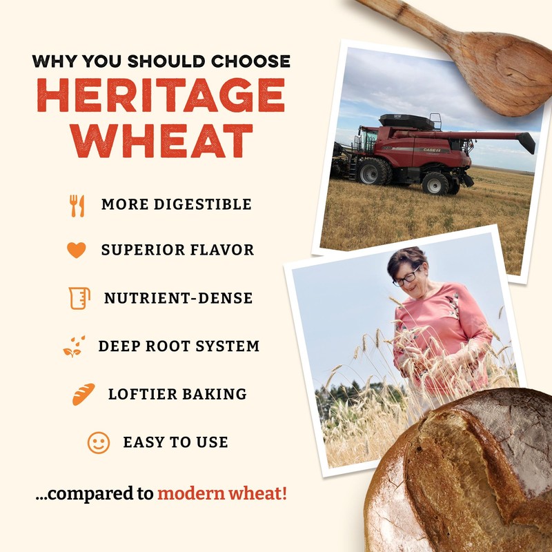 Sunrise Flour Mill Organic Heritage Whole Wheat Flour - 2