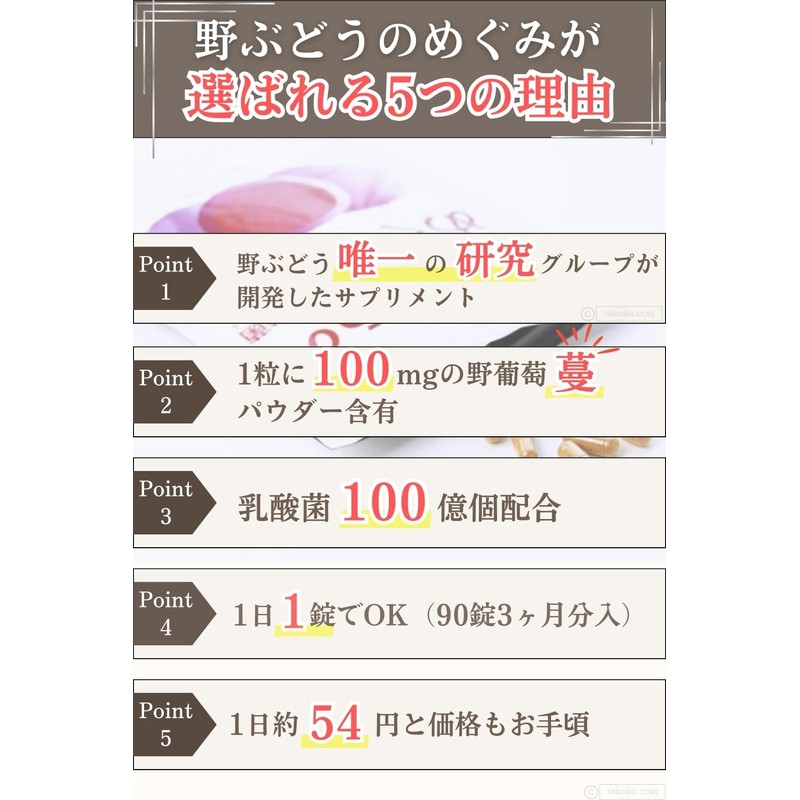 野ぶどうのめぐみ＋乳酸菌 サプリメント・90錠