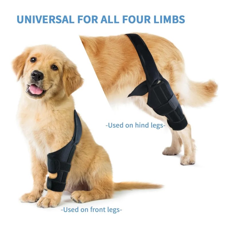 Rodillera Para Perros Rodillera Acl Para Perros Rodillera Pr Negro