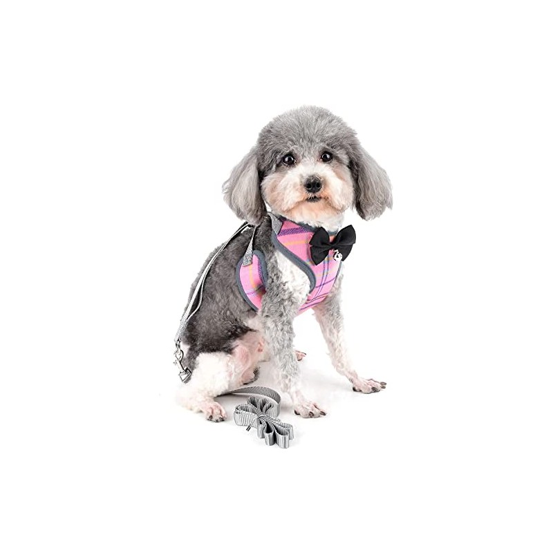 Arnés Ajustable para Gato y Perro, Anti-Escape con Correa (Rosa,M)