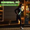 Perthlin Reflective Sash with Clip for Running High Adjustable Walking