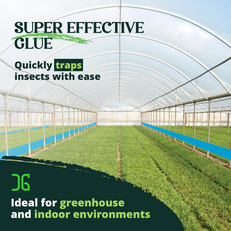 Catchmaster GRO XL AG Roll 4PK, Double Sided Adhesive Fly