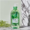 Garnier Skin Active Face Wash with Green Tea for Oily