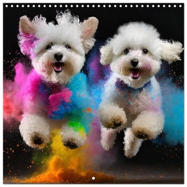 Dynamic Duo - Two Paws, One Leap (Wall Calendar 2025 12 × 12 Inch) CALVENDO 12 Month Wall Calendar