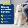 PetSafe Audible Bark Collar - Discourages Excessive Barking - SoundBurst