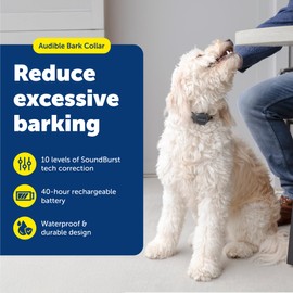PetSafe Audible Bark Collar - Discourages Excessive Barking - SoundBurst Technology - Waterproof Design - Rechargeable Battery - Fits Dogs Over 8 lbs - Indoor & Outdoor Use