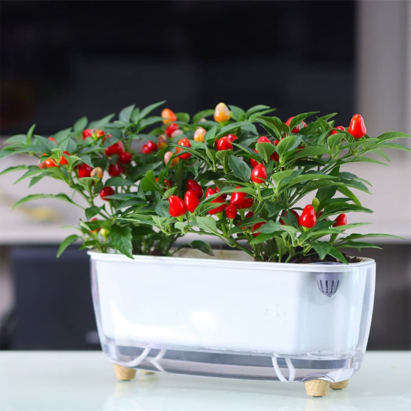 5 Pack Rectangular Planter 11.8 x 4.6 in Self Watering