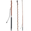 Fleck Telescopic Lunging Whip with Winding Handle