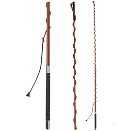 Fleck Telescopic Lunging Whip with Winding Handle