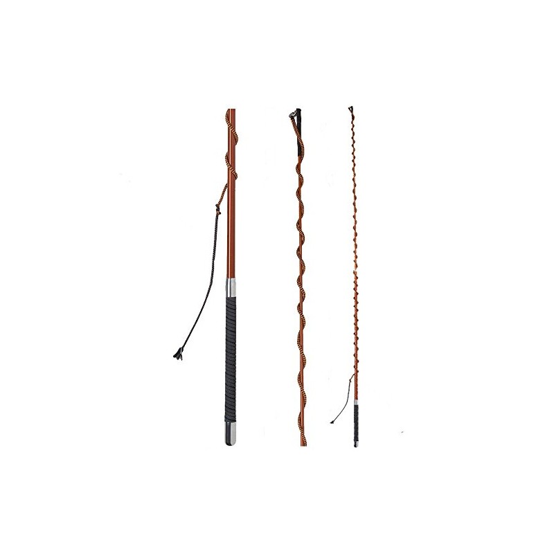Fleck Telescopic Lunging Whip with Winding Handle