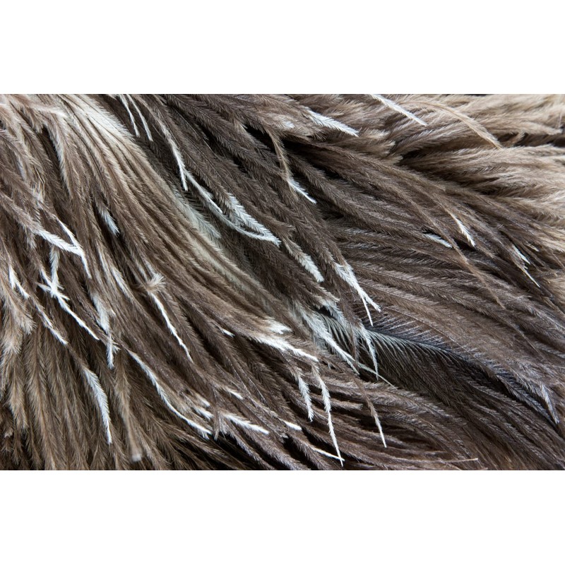 ESCI 【Made in Japan】Small yet handmade duster with ostrich feathers!