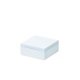 Pearl Metal D-6593 Everyday Heavy Box, 1 Tier, White with Rubber Belt