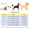 ARING PET Dog Collar, Cute Dinosaur Dog Collar with Quick