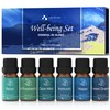 ASAKUKI ASAKUKI Essential Oil Blends Gift Set | 6x10ml Well-Being