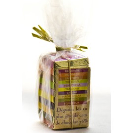 Pralus Pyramid - Mini Pyramide Des Tropiques - 10 Dark Chocolates From Around the World