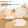 Giilayky 15 PCS Natural Sea Shell Large White, 4-4.7 Inch