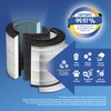 Clorox Medium Room Air Purifier True HEPA Replacement Filter, 1,000