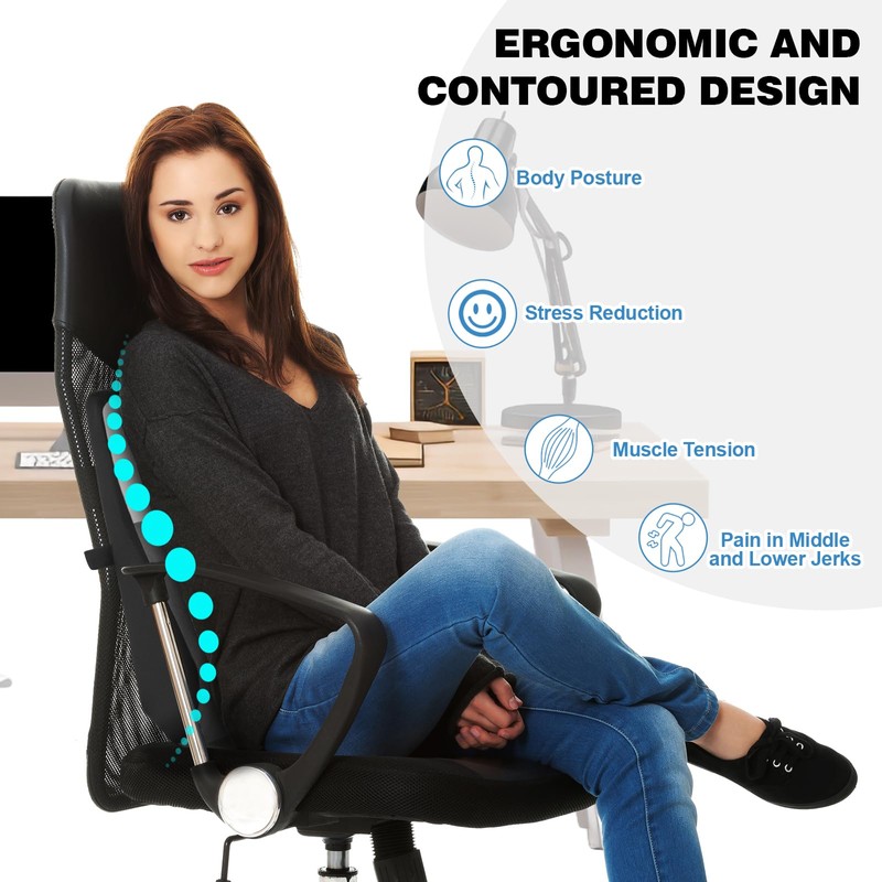Quirlig Lumbar Cushion, Lumbar Cushion Car, Lumbar Support Car, Back