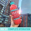 ROAR Complete Hydration Organic - Electrolyte Drinks Loaded with Vitamins