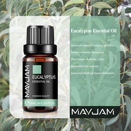 MAYJAM Essential Oil Eucalyptus Aroma Oil 100% Natural Essential Oil 10ml