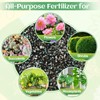 10-10-10 Premium Fertilizer - Quick-Release All-Purpose Plant Food for Indoor/Outdoor