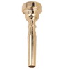 Trumpet Mouthpiece Professional Replacement for Beginners 5C Musical Instrument Accessories