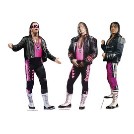 SC4586 WWE Bret Hart Three Shelf Top Cardboard Cut Outs Height 31cm - Ideal for WWE Theme, Parties, Birthdays & Fans, Room Decorations & Events