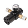 CO2 Mini Regulator Aluminum Alloy Brass Stainless Steel 8mm Dual
