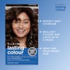 Clairol Lasting Colour Permanent Hair Dye | Ideal Grey Coverage