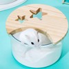 Hamster Bathroom, Hamster Toilet, Hamster Bathtub, Hamster Bathroom, Small Animal
