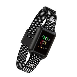 PETHEY Bark Control Collar