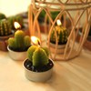 12 Velas de Cactus,Velas de té de Cactus, Decorativo Hecho