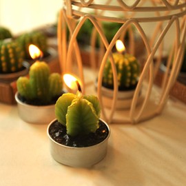 12 Velas de Cactus,Velas de té de Cactus, Decorativo Hecho a Mano Delicada luz de té de Cactus sin Humo, Adecuado para Fiestas, Festivales, Cumpleaños, Bodas, de Coración del Hogar (12)