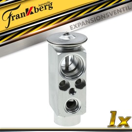 Frankberg Expansion Valve Compatible with A-Class W168 1997-2004 C-Class W202 S202 1993-2001 CLK C208 A208 1997-2003 Replace# 976262D100