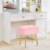 Redlife Vanity Stool Chair Faux Fur with Storage, Adjustable Soft